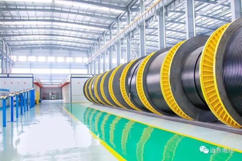 重大工程丨遠(yuǎn)東見證特高壓跨越式發(fā)展